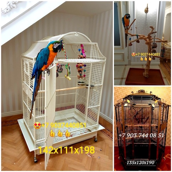 Клетка для крупных видов попугаев, производство Чехия Москва - изображение 1