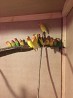 Попугаи неразлучники ручные птенцы
