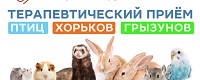 Ветеринарная клиника в Иваново - Верный Друг